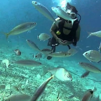 Fethiye Tüplü Dalış Turu